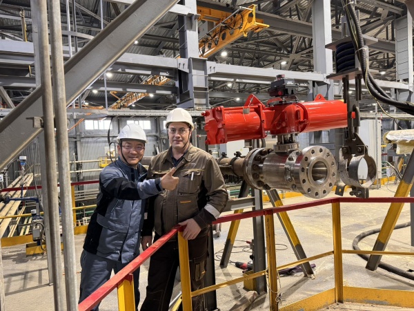 进口工业阀门的应用领域